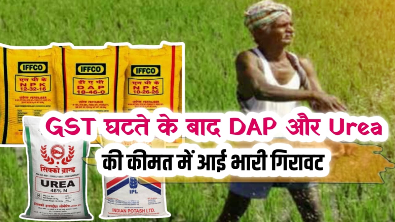 DAP Urea New Rate